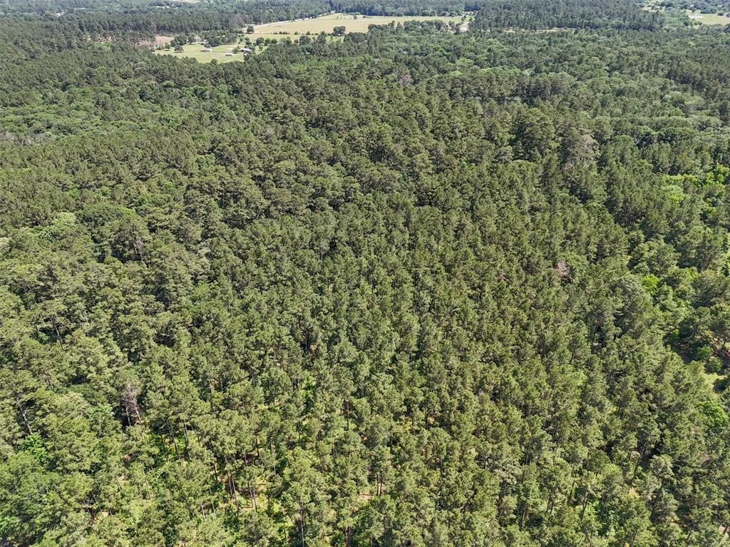 20435 Fm-1791, Richards, Texas image 13