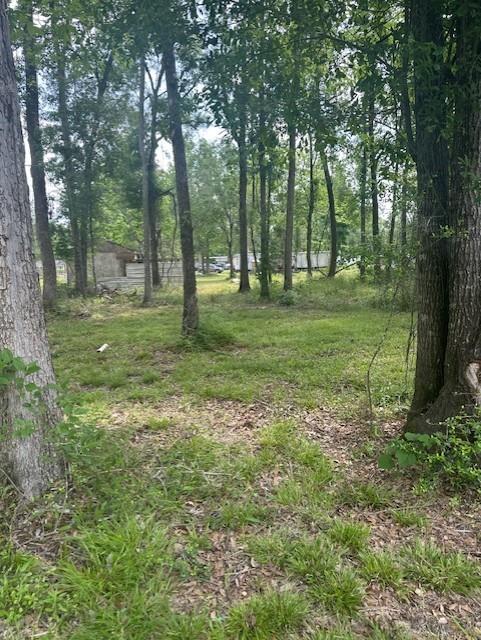 365 Kinsman Road, Cleveland, Texas image 6