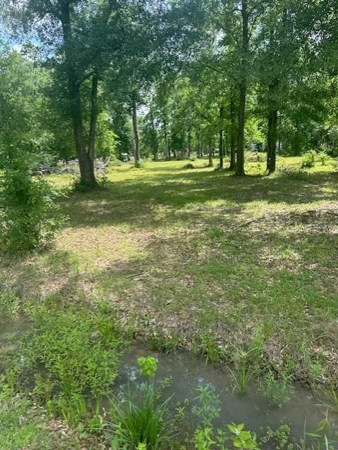 Photo of 365 Kinsman Road, Cleveland, TX 77328 (MLS # 61162461)
