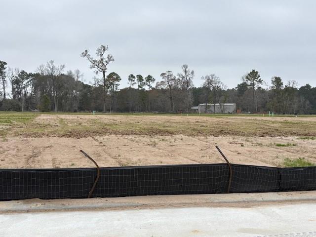 313 Robin Street, Angleton, Georgia image 23