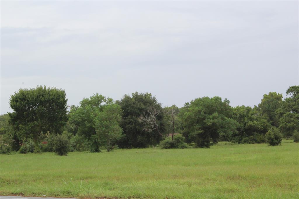 Main Street, La Marque, Texas image 5