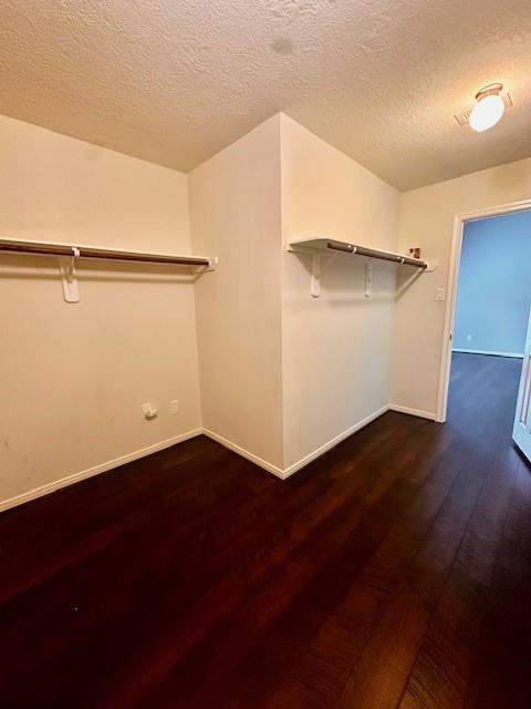 2407 Florence Drive, League City, Texas image 19