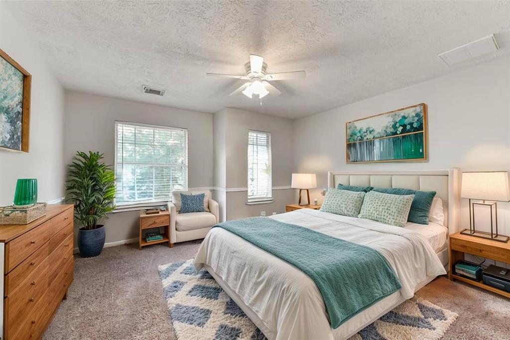 8115 Buffalo Springs Court Ct, Sugar Land, Texas image 21