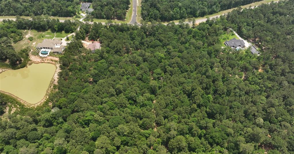 167 Winchester Road, Huntsville, Texas image 14