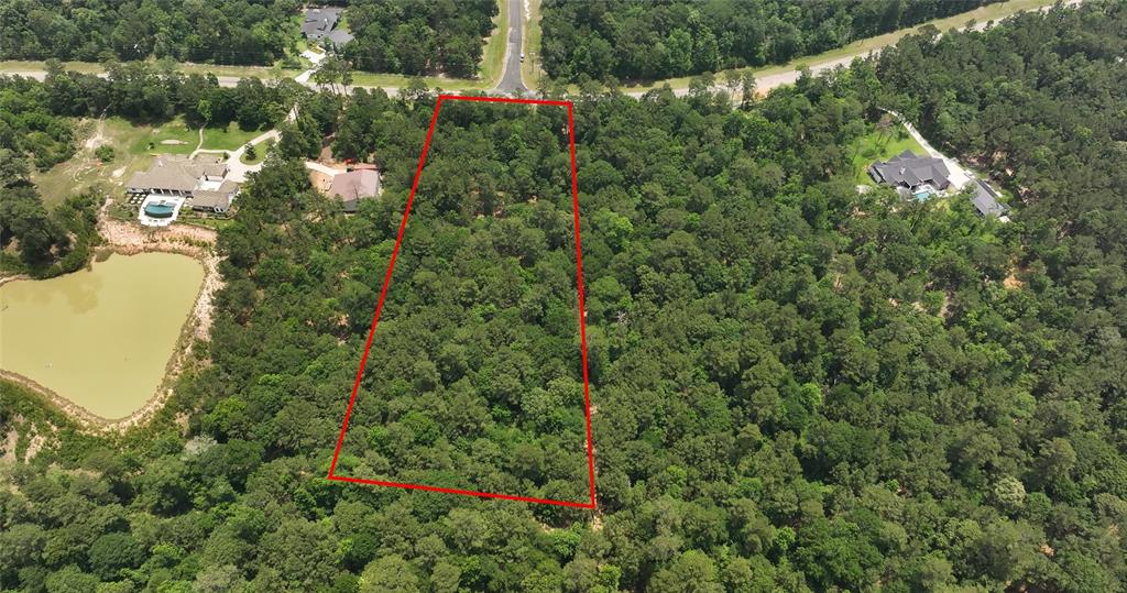 167 Winchester Road, Huntsville, Texas image 4