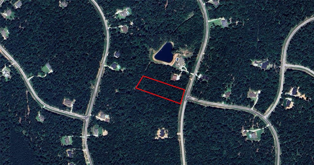 167 Winchester Road, Huntsville, Texas image 13