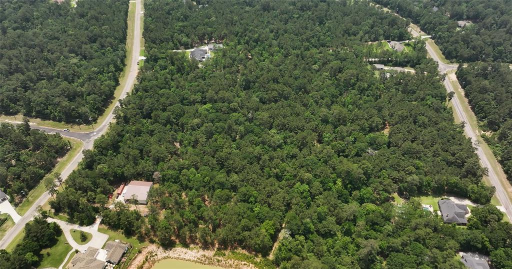 167 Winchester Road, Huntsville, Texas image 10