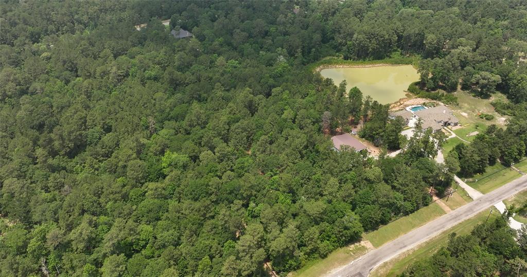 167 Winchester Road, Huntsville, Texas image 17