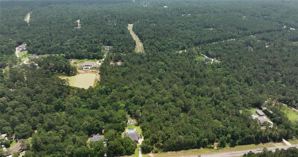 167 Winchester Road, Huntsville, Texas image 16