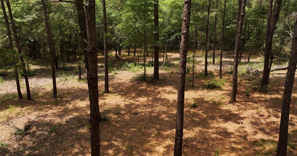 167 Winchester Road, Huntsville, Texas image 12