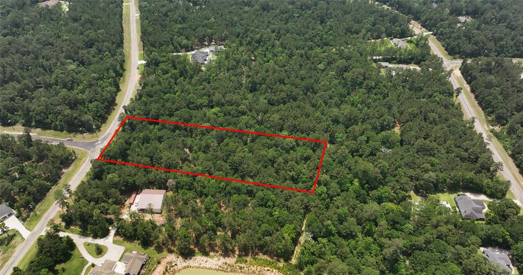 167 Winchester Road, Huntsville, Texas image 3