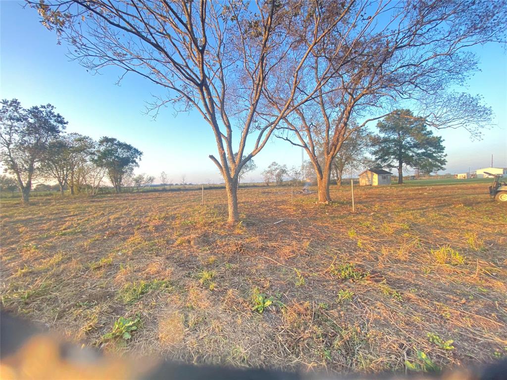 6514 Track Road, Beasley, Texas image 16