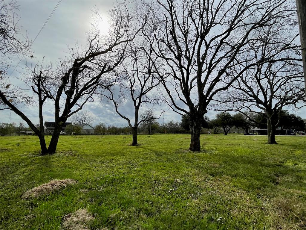 01 Longhorn Road, Simonton, Texas image 3