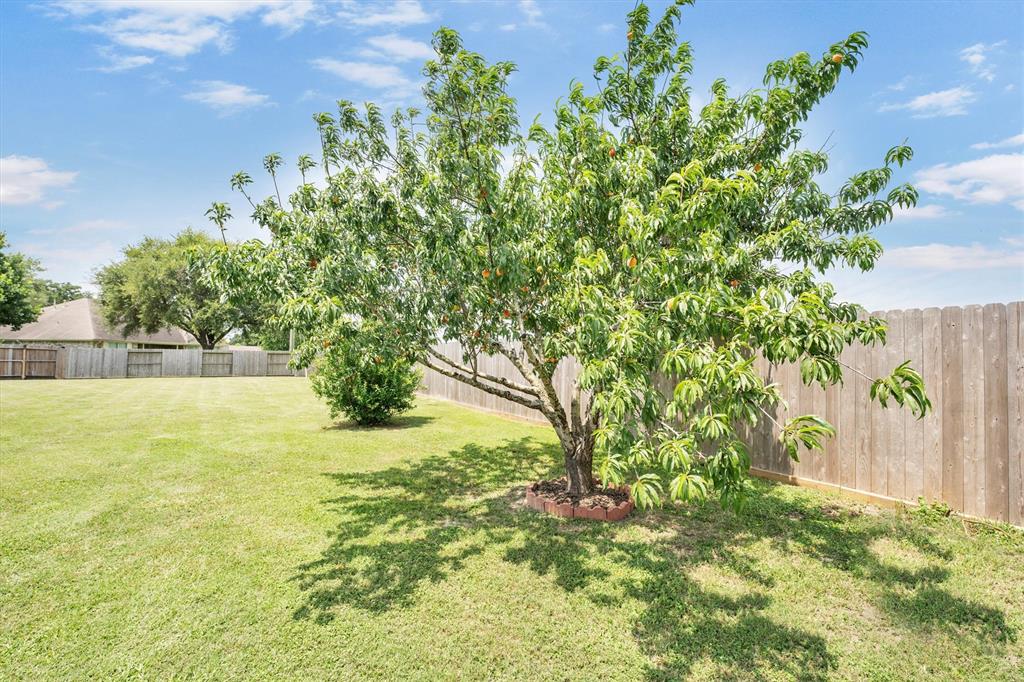 12139 Canyon Arbor Way, Houston, Texas image 48
