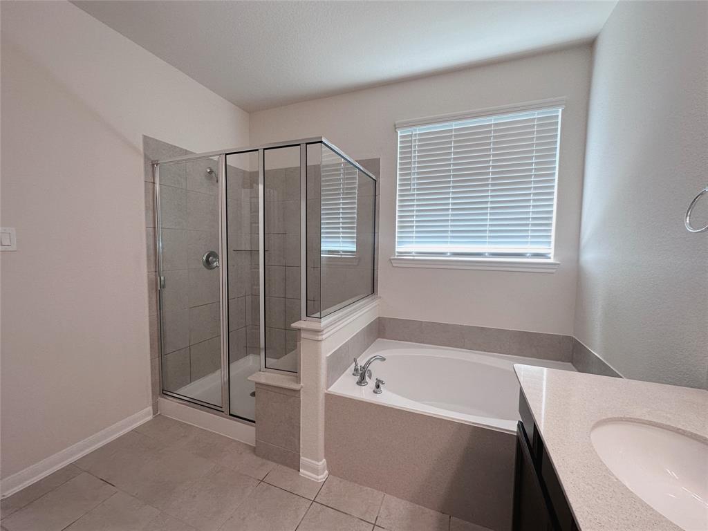 24410 Bludana Lane, Richmond, Texas image 19