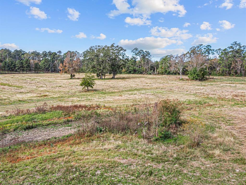 1810 Tbd Caspers Cove Road, Lufkin, Texas image 8