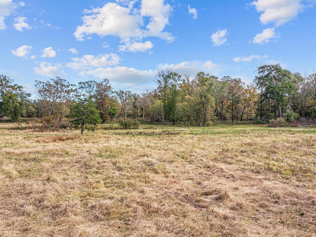 1810 Tbd Caspers Cove Road, Lufkin, Texas image 10