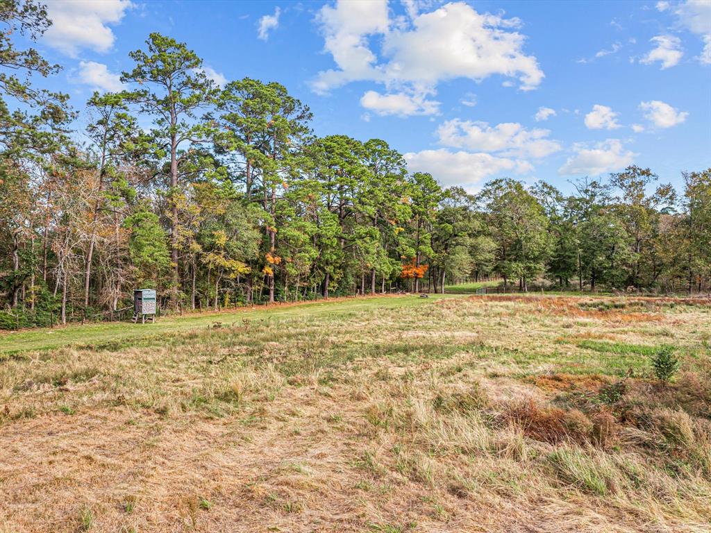 1810 Tbd Caspers Cove Road, Lufkin, Texas image 9