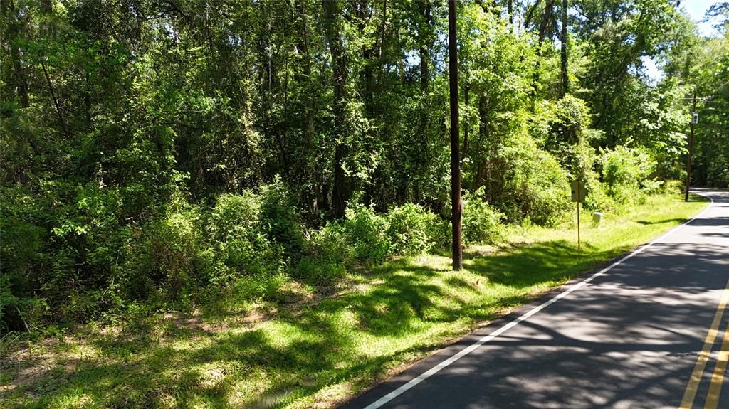 Photo of 200 Hargrave Road, Huffman, TX 77336 (MLS # 16404508)