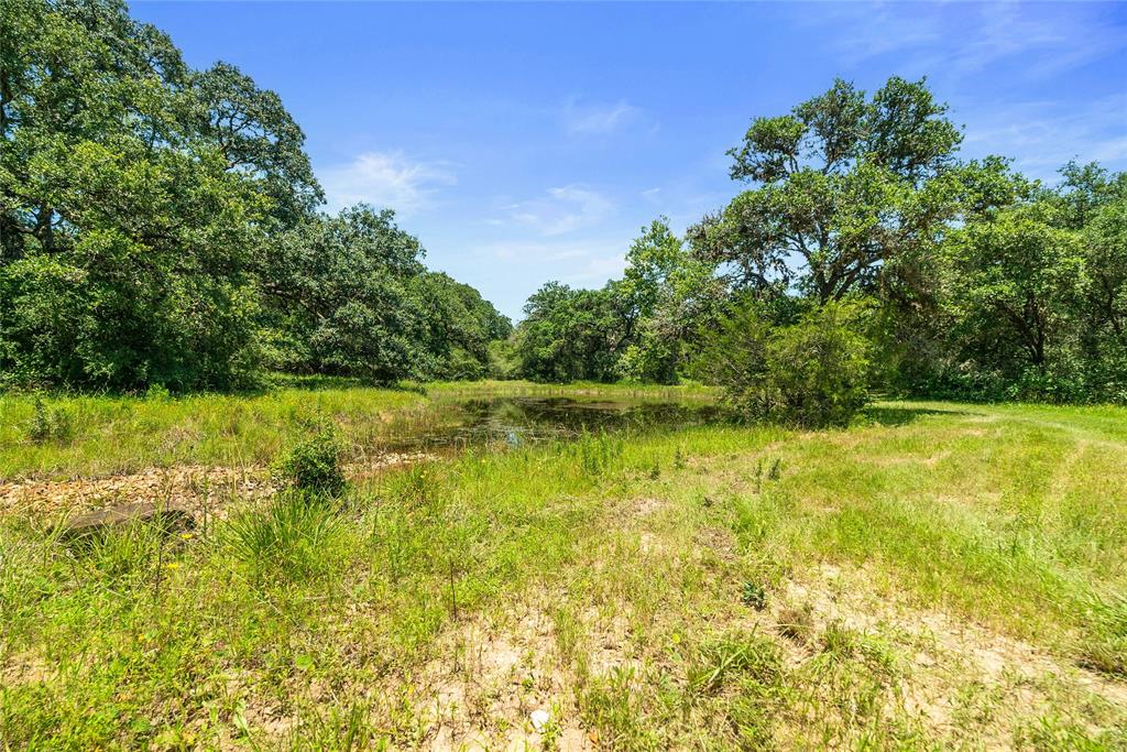 1009 Oakridge Road, Weimar, Texas image 40