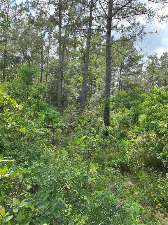 LOT 39 Scarlet Oak Drive, Plantersville, Texas image 2