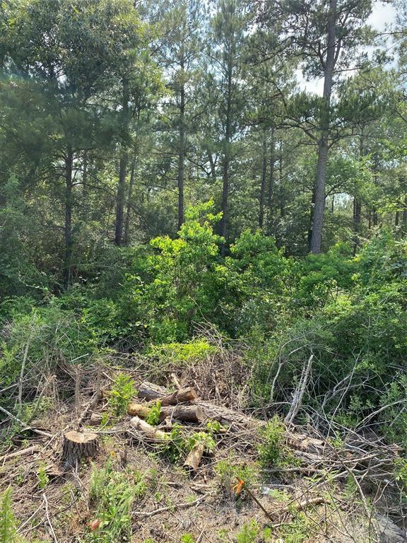 LOT 39 Scarlet Oak Drive, Plantersville, Texas image 3