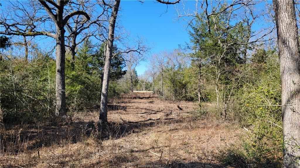 LOT 6 High Meadow Trail