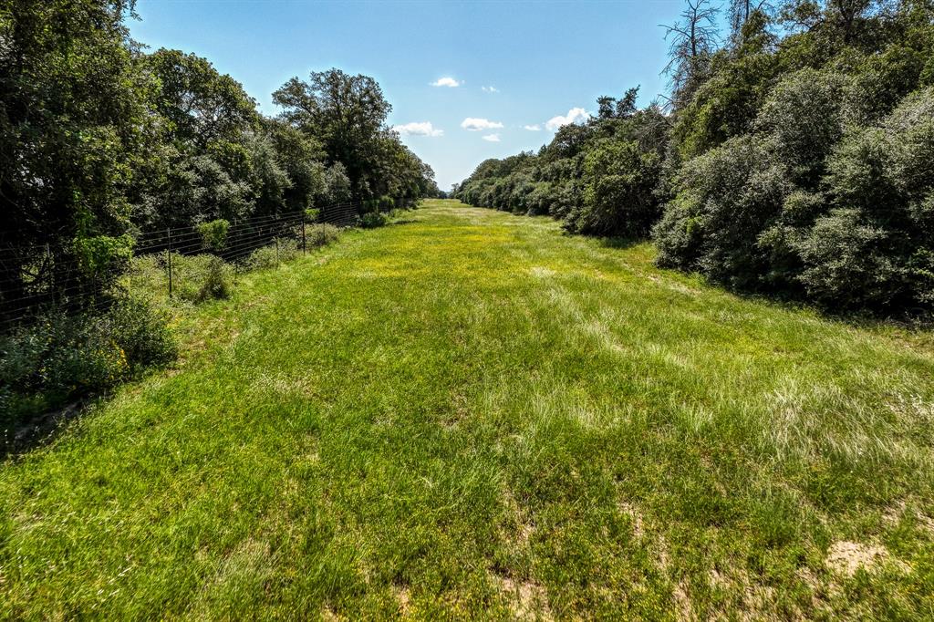 3336 County Road 326, Lexington, Texas image 7