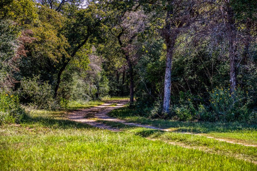 3336 County Road 326, Lexington, Texas image 4