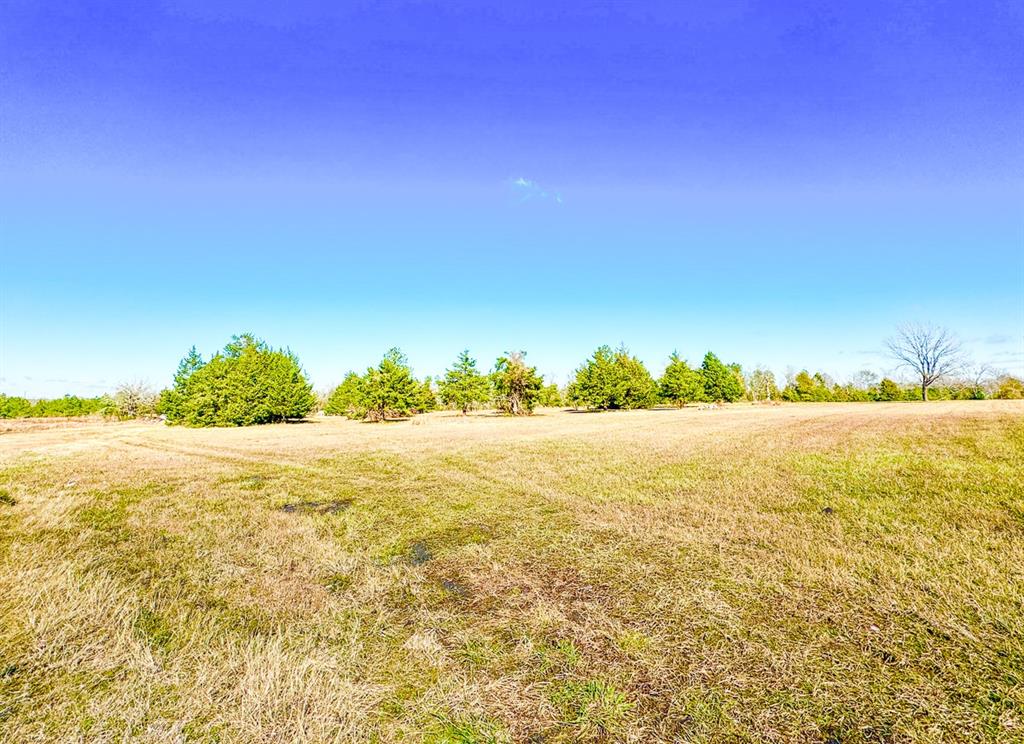 2965 Sh 19 S, Huntsville, Texas image 11