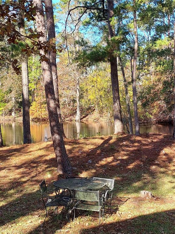 31 Thomas Lake Road, Riverside, Texas image 31