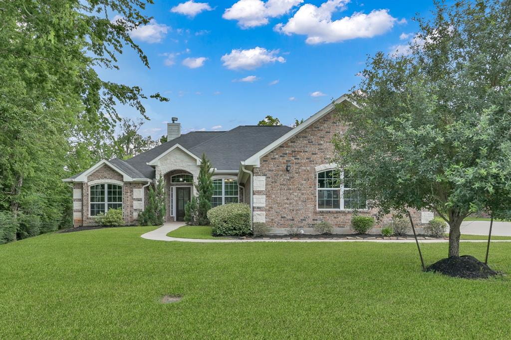 281 Berkley Drive, Montgomery, Texas image 3
