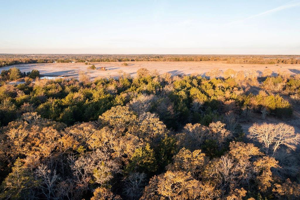 17 Acres - 000 Grassyville Rd, Paige, Texas image 8