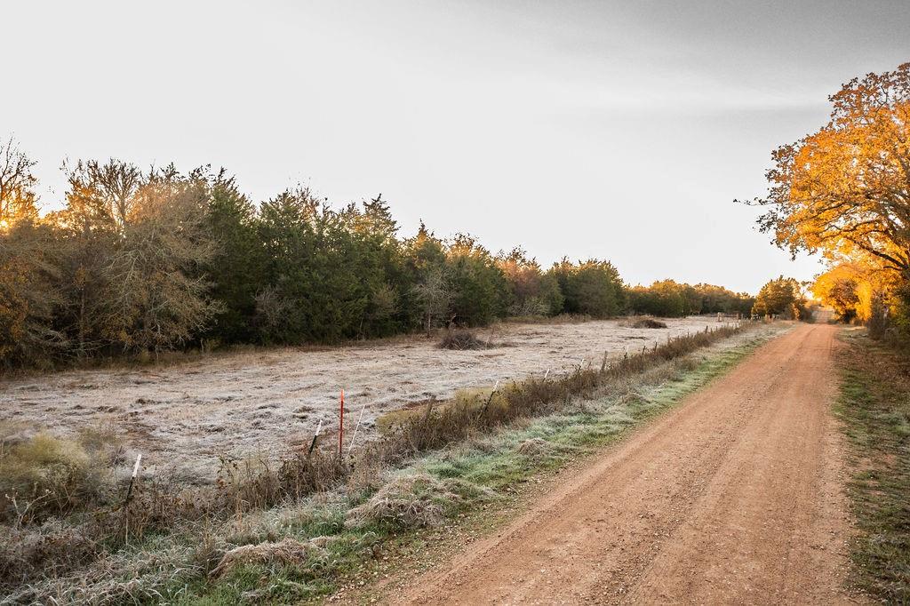 17 Acres - 000 Grassyville Rd, Paige, Texas image 6