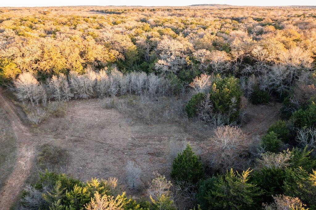 17 Acres - 000 Grassyville Rd, Paige, Texas image 5