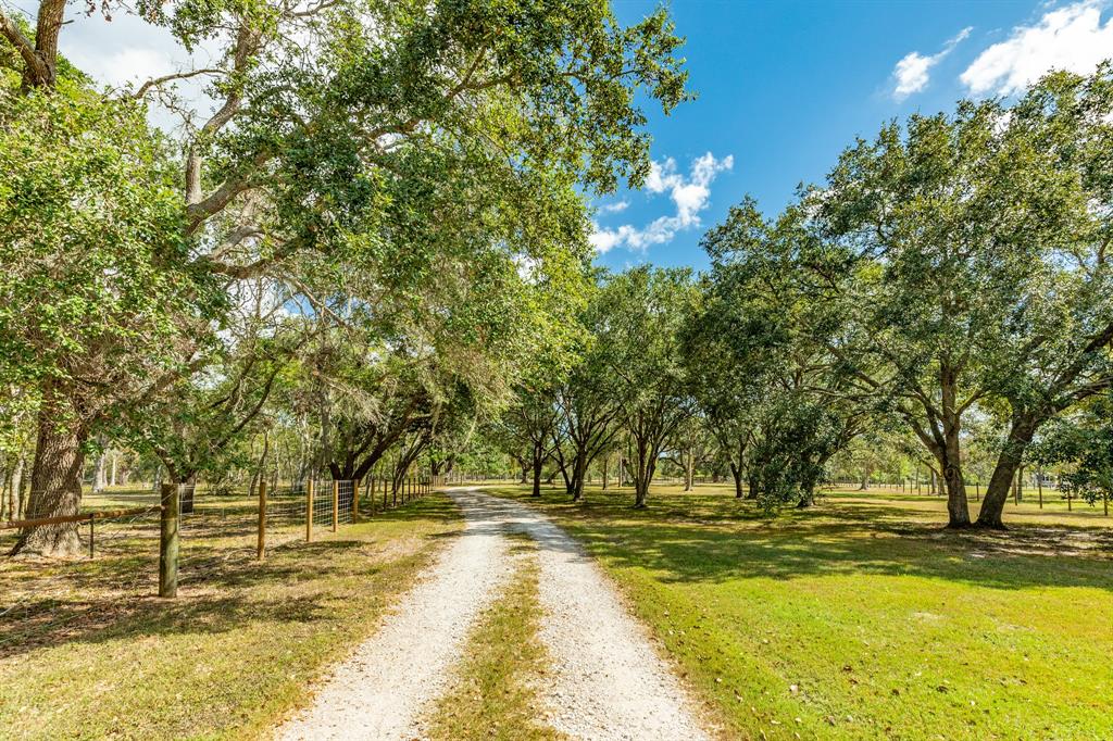 543 County Road 508, Brazoria, Texas image 38