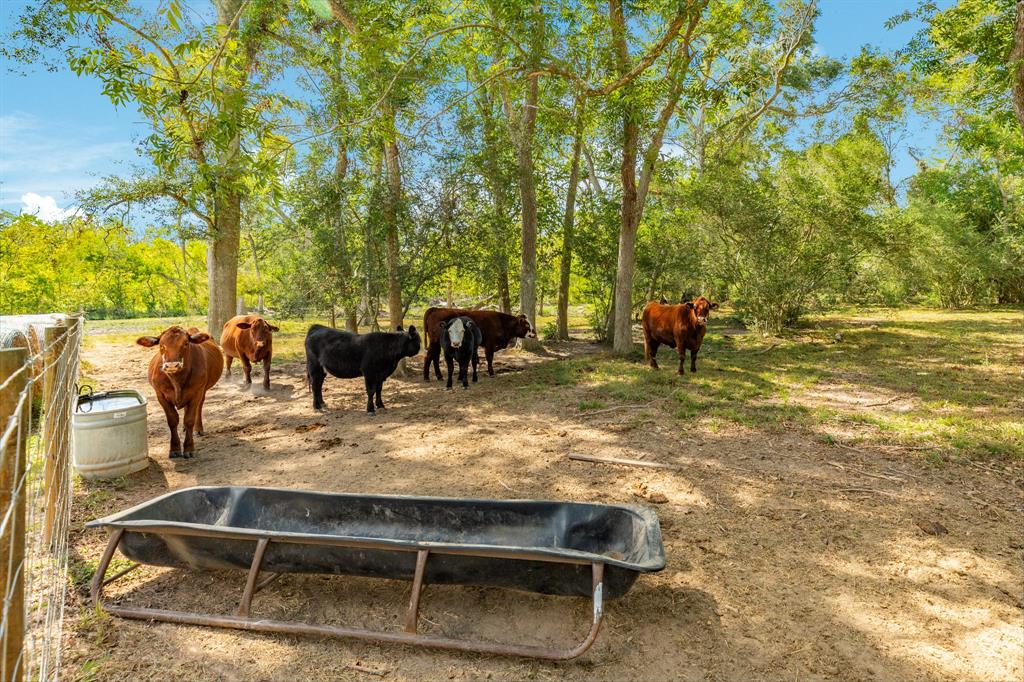 543 County Road 508, Brazoria, Texas image 40