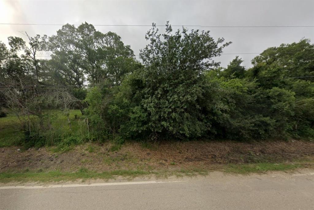 TBD N County Road 306a, Brazoria, Texas image 1