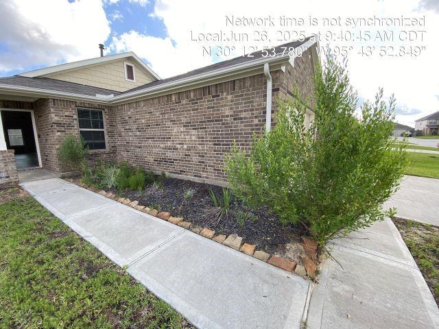 929 Silver Birch Branch Branch