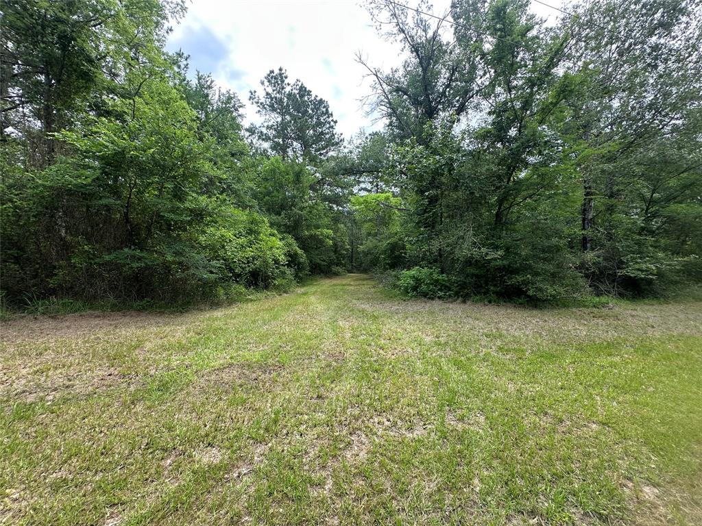 TBD Cr 4120, Crockett, Texas image 5