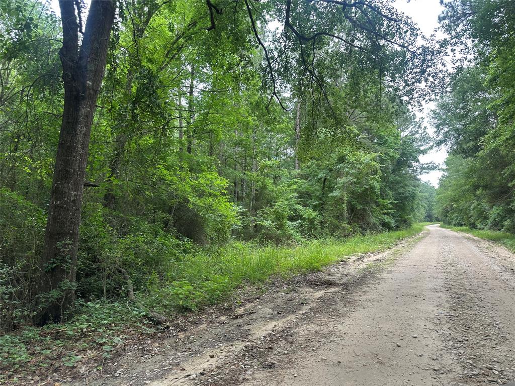 TBD Cr 4120, Crockett, Texas image 15