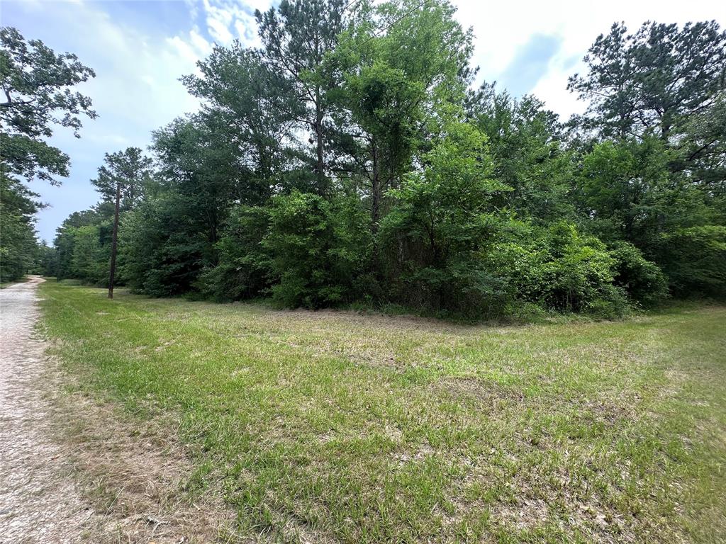 TBD Cr 4120, Crockett, Texas image 16