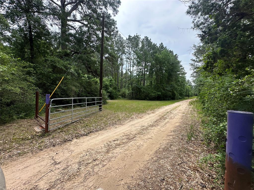 TBD Cr 4120, Crockett, Texas image 6