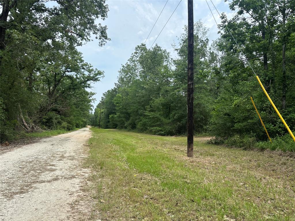 TBD Cr 4120, Crockett, Texas image 17