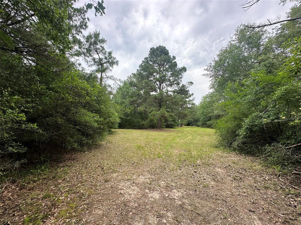 TBD Cr 4120, Crockett, Texas image 7