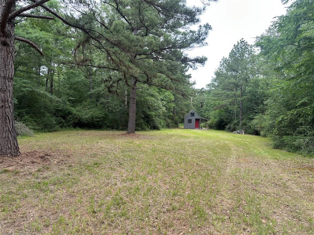 TBD Cr 4120, Crockett, Texas image 4