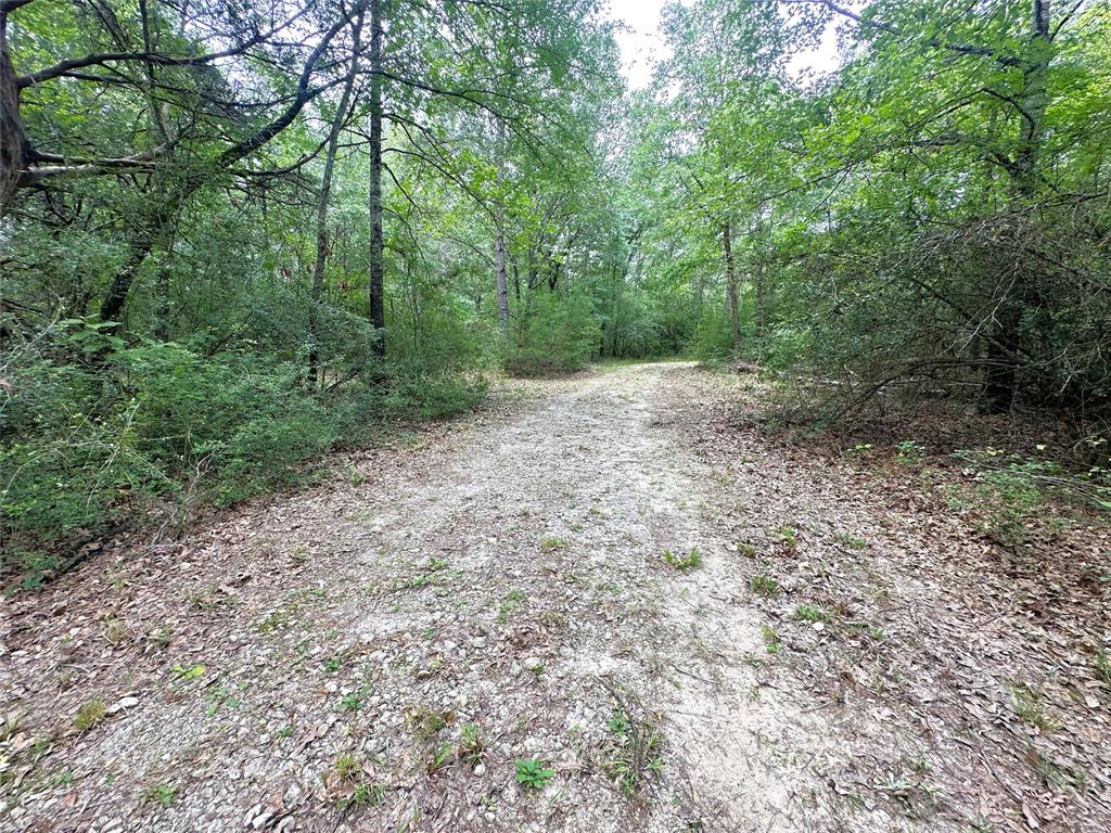 TBD Cr 4120, Crockett, Texas image 9