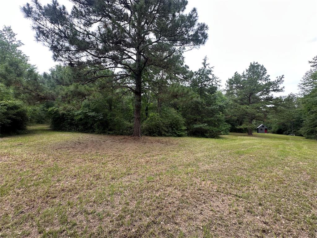 TBD Cr 4120, Crockett, Texas image 2