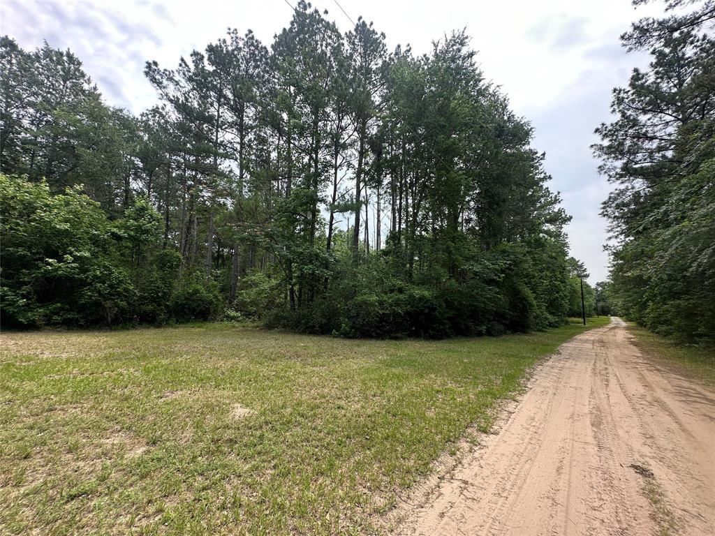 TBD Cr 4120, Crockett, Texas image 14