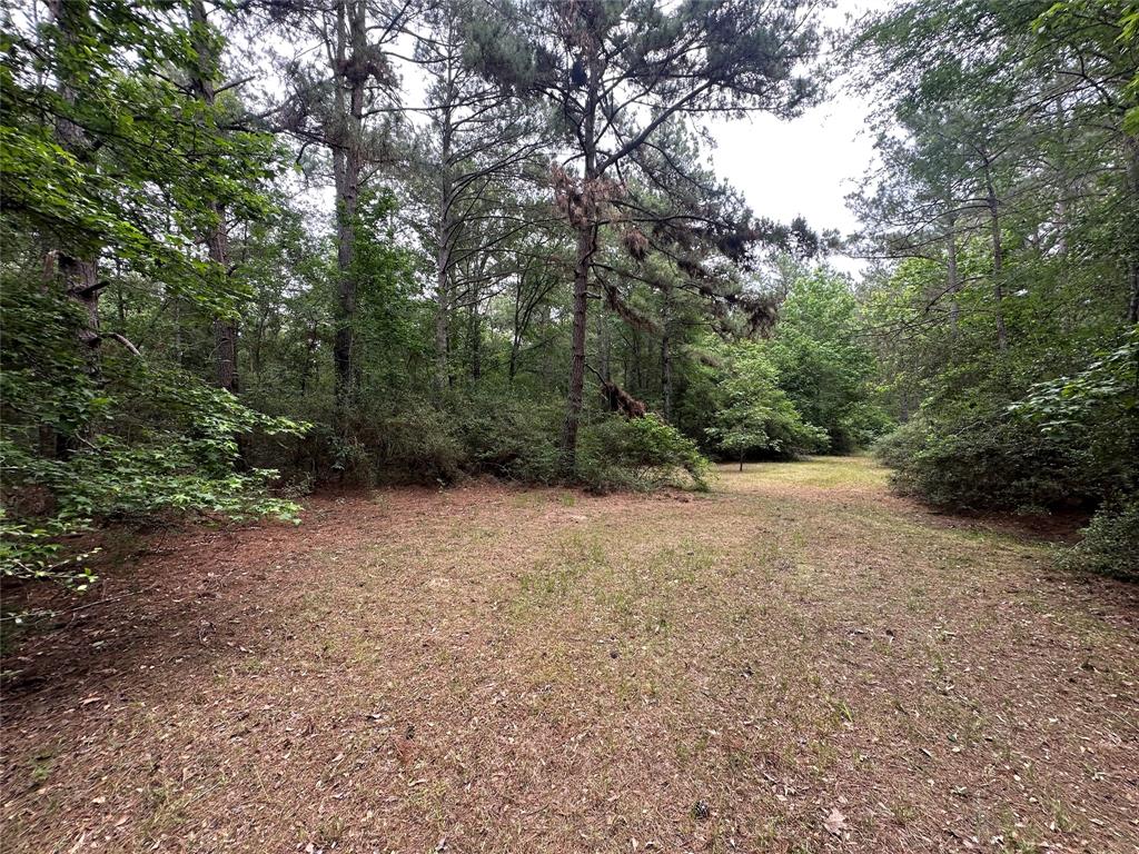 TBD Cr 4120, Crockett, Texas image 12
